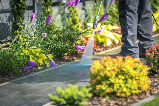  Sutter Creek, CA Pressure Washing Pros