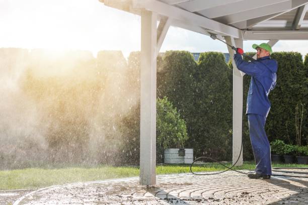 Best Roof Washing  in Sutter Creek, CA